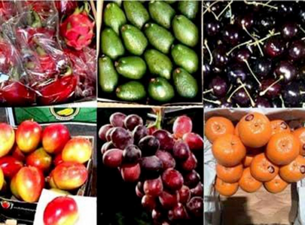 کشف هفتگی میوه ای قاچاق/راه اندازی قرنطینه در مناطق آزاد