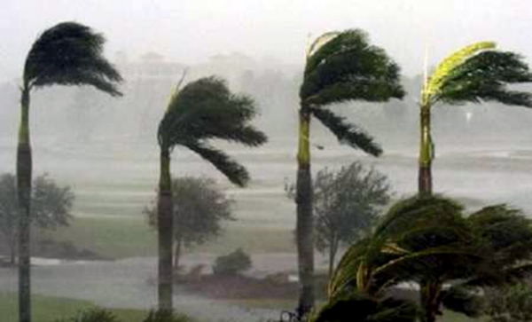 وزش باد در جزیره کیش شدت می یابد/ بیش از 10 میلیمتر باران بارید