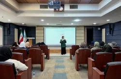 سازمان منطقه آزاد کیش - فرهنگی، هنری و اجتماعی