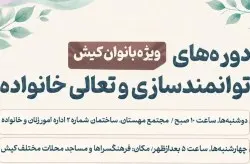 سازمان منطقه آزاد کیش - محلی