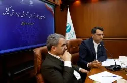 سازمان منطقه آزاد کیش - محلی