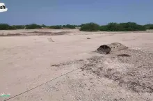 کاور آپارات