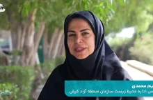 بازگشت اسب‌های دریایی به کیش؛ پایان یک جابه‌جایی غیرمجاز