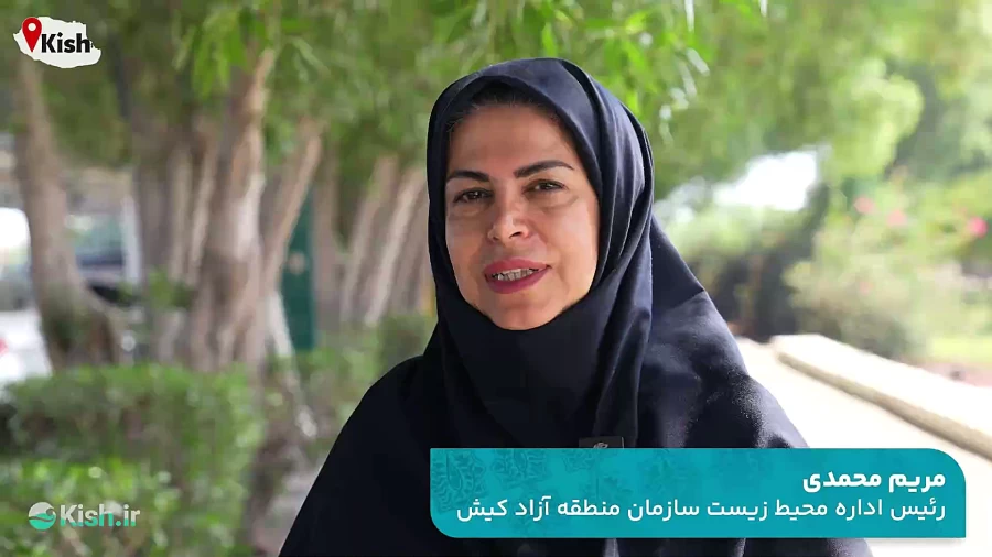 بازگشت اسب‌های دریایی به کیش؛ پایان یک جابه‌جایی غیرمجاز