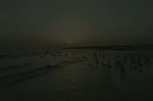 کاور آپارات