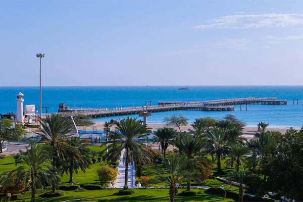 آغاز عملیات شستشوی درختان نخل در جزیره کیش