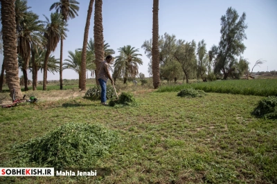 روستای شفیع آباد نگین کویر در فهرست جهانی روستای شفیع آباد نگین کویر در فهرست جهانی | پایگاه خبری صبح کیش