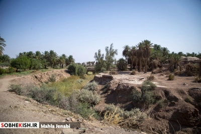 روستای شفیع آباد نگین کویر در فهرست جهانی روستای شفیع آباد نگین کویر در فهرست جهانی | پایگاه خبری صبح کیش