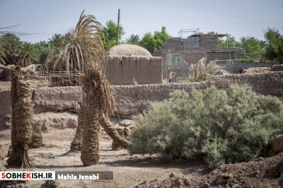 روستای شفیع آباد نگین کویر در فهرست جهانی روستای شفیع آباد نگین کویر در فهرست جهانی | پایگاه خبری صبح کیش